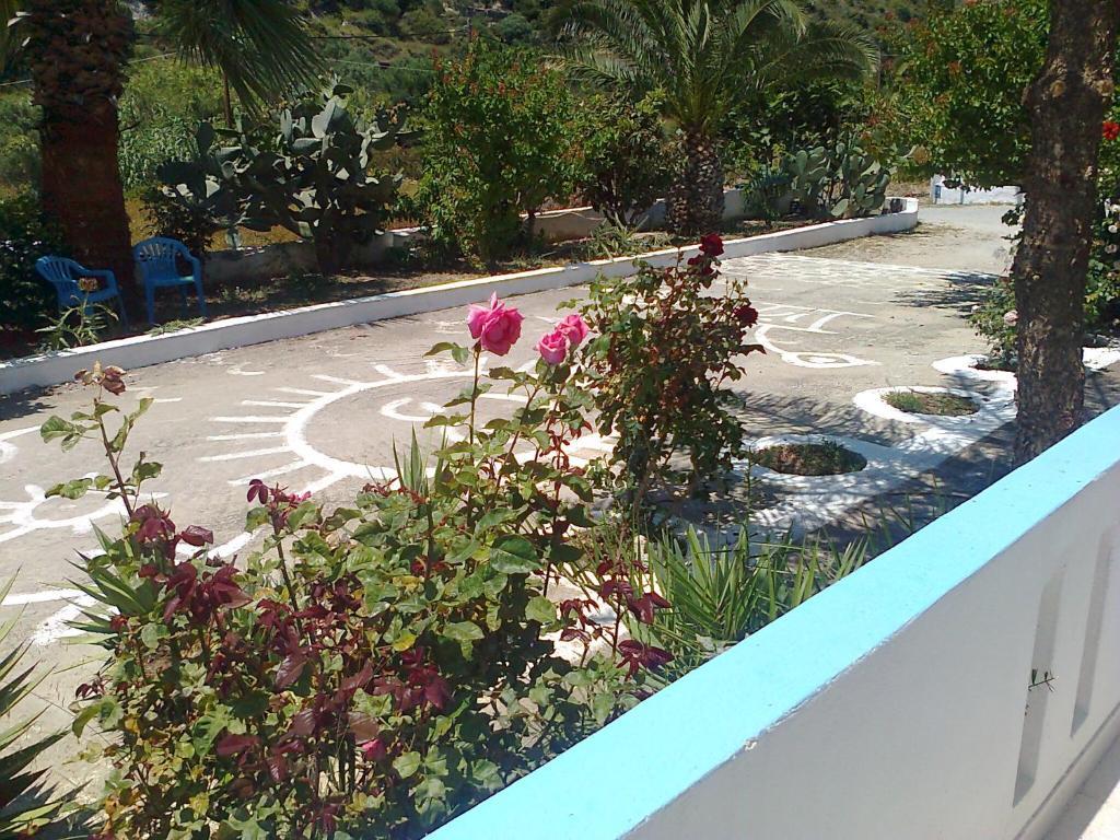Dionysia Apartments Kéfalos エクステリア 写真