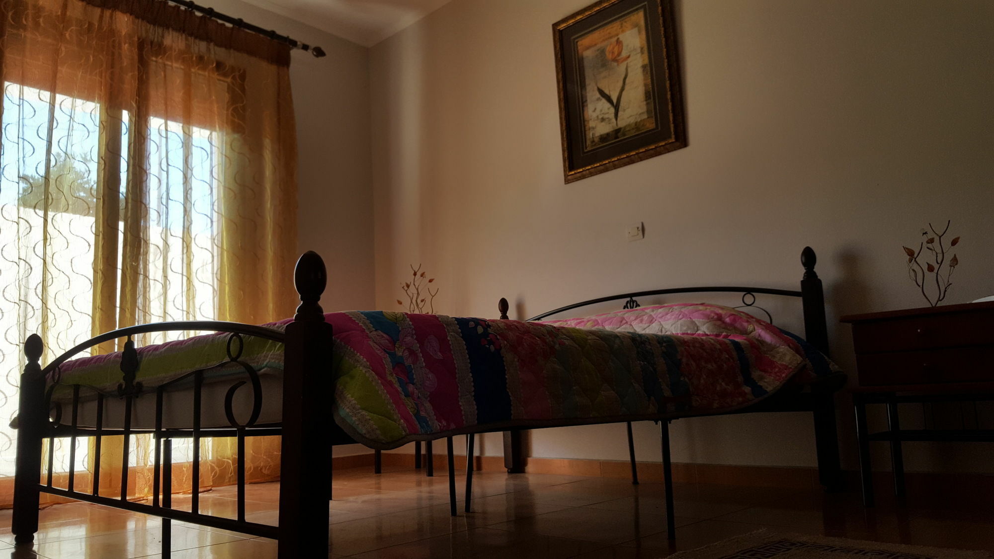 Dionysia Apartments Kéfalos エクステリア 写真