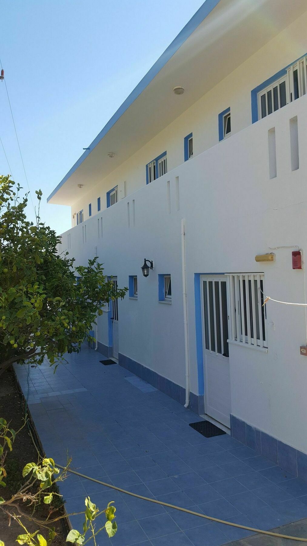 Dionysia Apartments Kéfalos エクステリア 写真